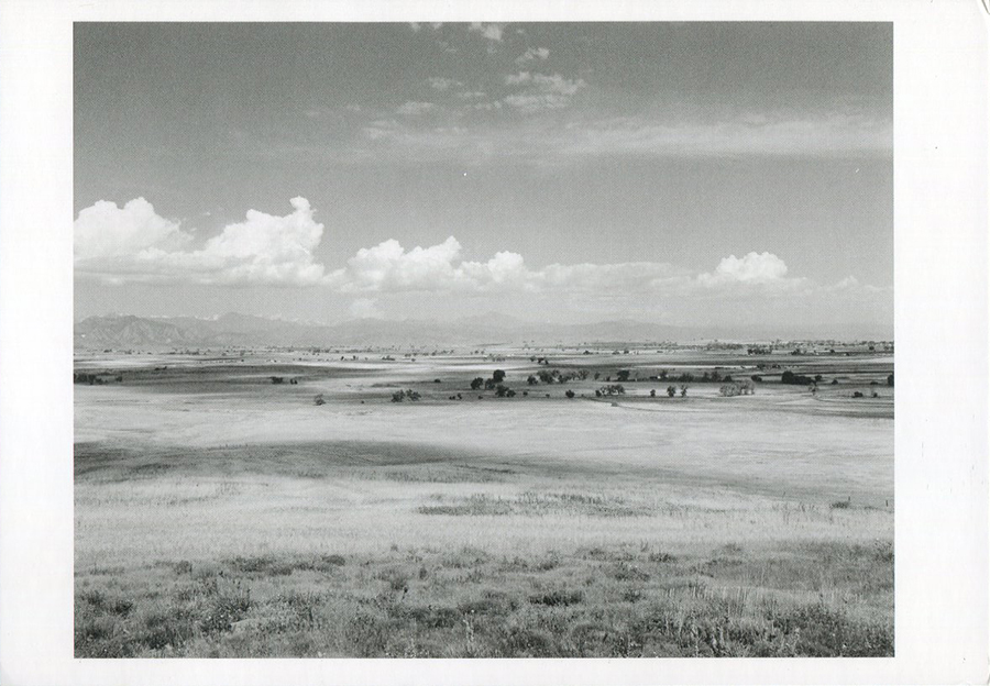 Robert Adams